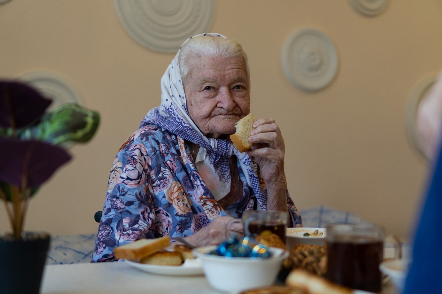 Резиденция на ул. Щукина (организация питания)